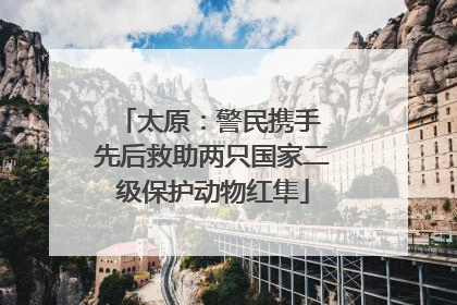 太原：警民携手 先后救助两只国家二级保护动物红隼